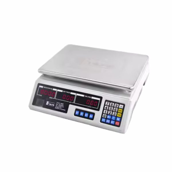 COMPUTING Scale